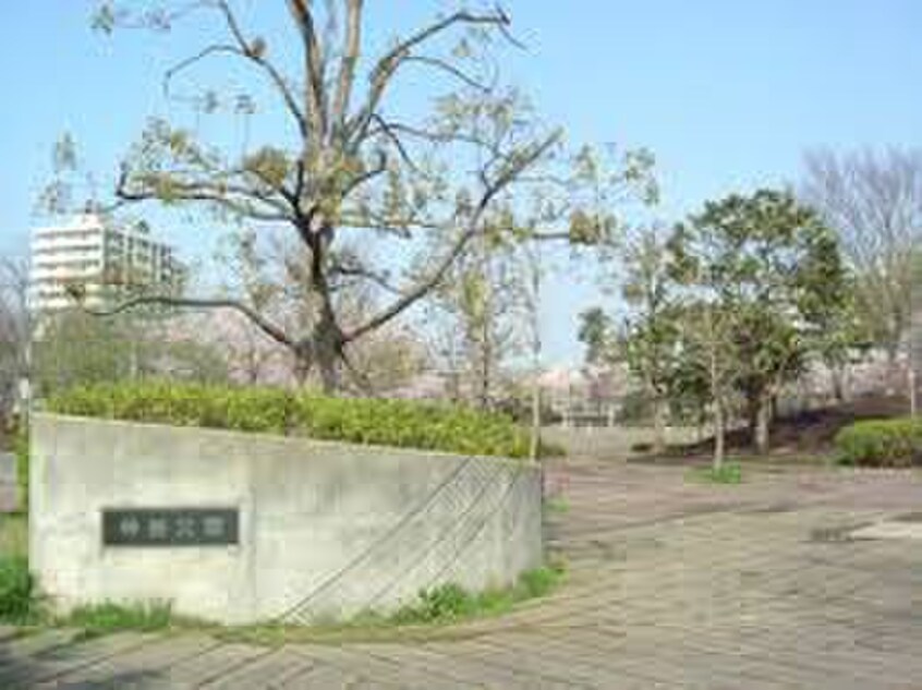 神無公園(公園)まで231m コンフォ－タブル