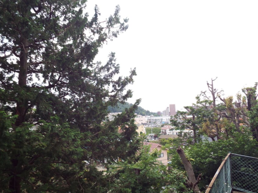 室内からの展望 レジデンス拾弐番館