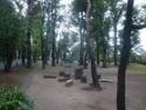 大泉公園(公園)まで530m 栄荘