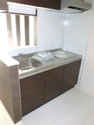 キッチン ヴィラ高円寺Ⅱ