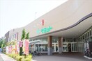 サミット横浜岡野店(スーパー)まで555m TGB西横浜ビル