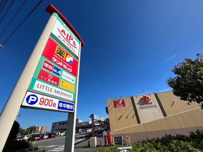 コピオ入間下藤沢(ショッピングセンター/アウトレットモール)まで800m ラフォ－レ藤沢