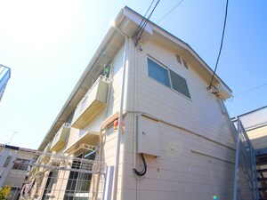 ｺｰﾎﾟｼｸﾞﾅｽ　2
