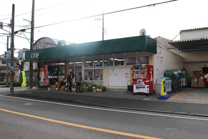 ユーコープ(スーパー)まで229m 　パレス湘南Ⅰ