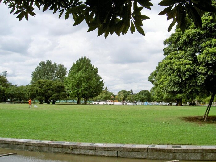 大師公園(公園)まで252m ファレ石井