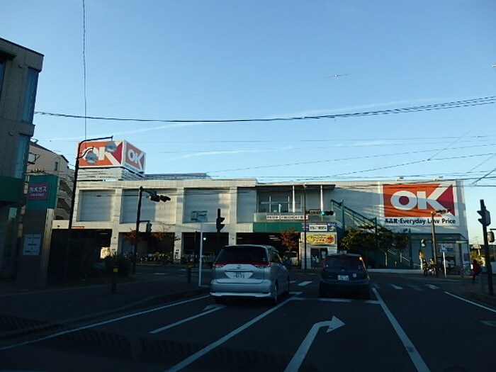 OKストア(スーパー)まで337m リアライズ伊勢原