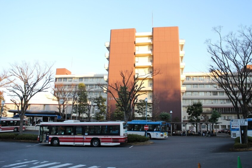 聖マリアンナ医科大学病院(病院)まで1300m ローリエ生田