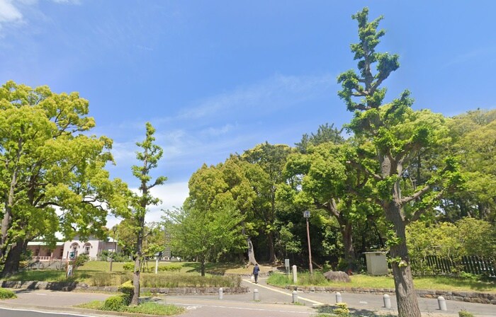 八幡山公園(郵便局)まで315m N-stage　Hiratuka　　