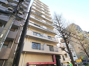 音羽ブリックス