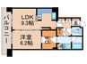 豊洲シエルタワー(24F) 1LDKの間取り