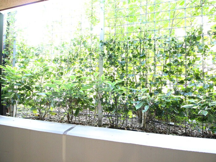 室内からの展望 ザ･パークハビオ柿の木坂