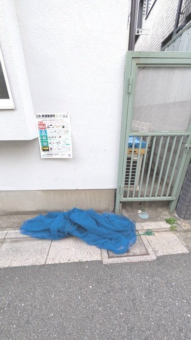 その他 キャロル