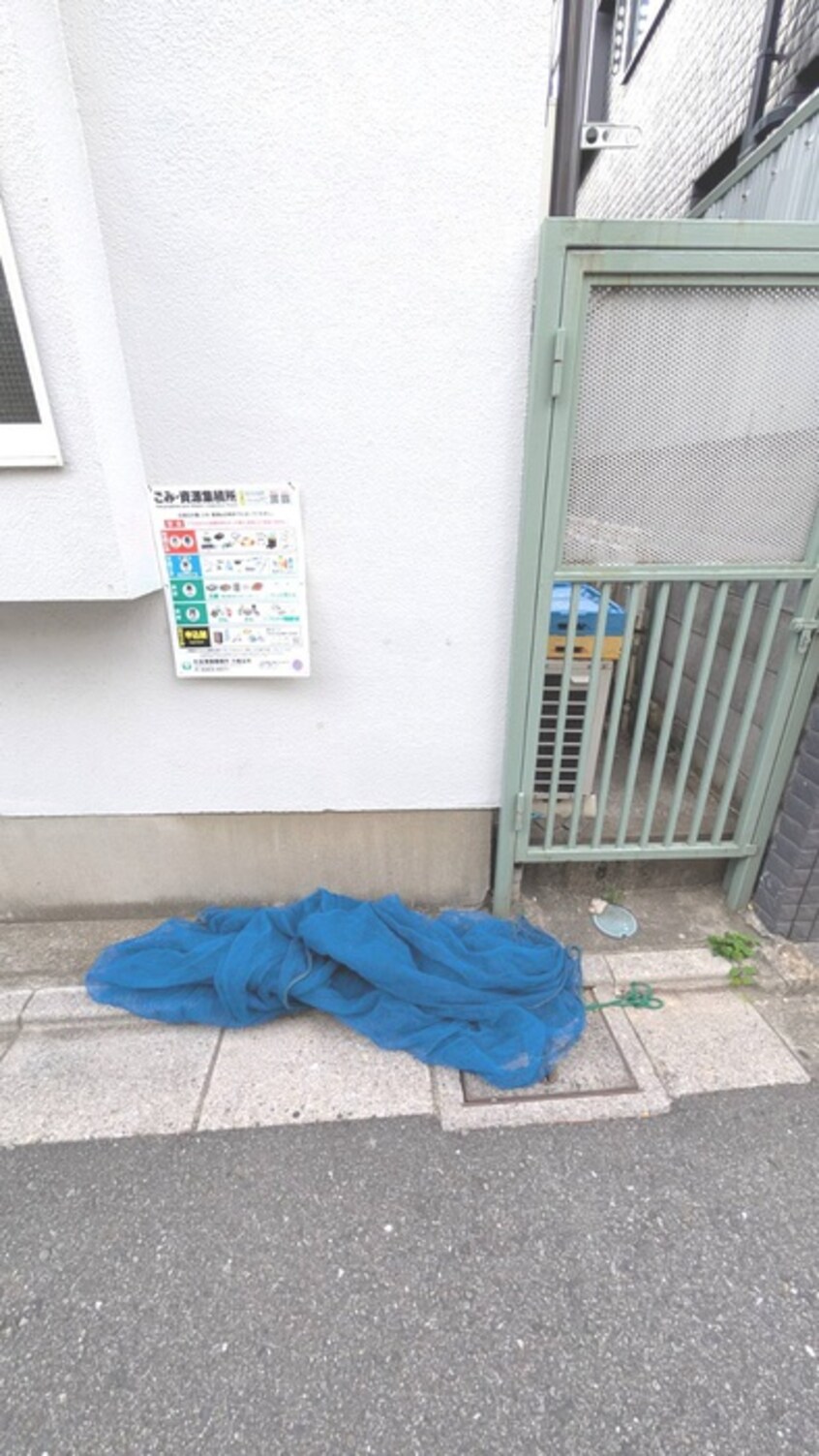 その他 キャロル