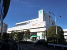 サミット(スーパー)まで595m ＪＨジェミニみずほ台