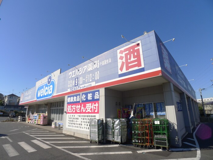 ウェルシア(ドラッグストア)まで730m 園生テクノプラザ