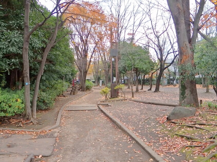 中央緑地公園(公園)まで296m 中央町アパ－トメント