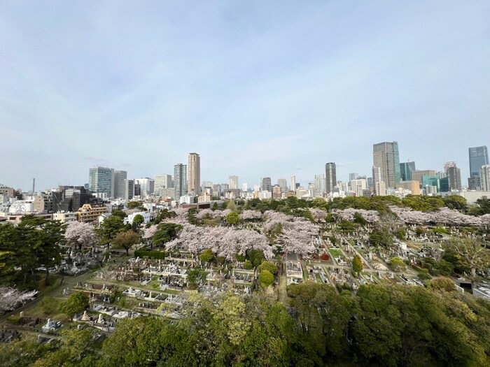 室内からの展望 オーパスレジデンス南青山