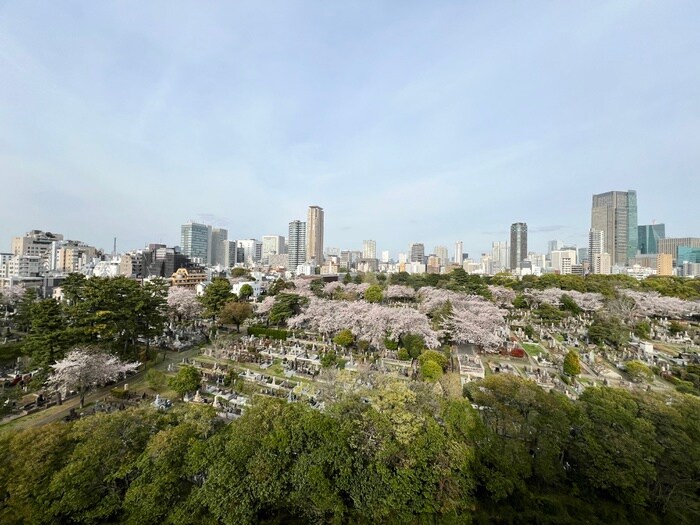 室内からの展望 オーパスレジデンス南青山