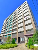 グロ－ブアマランスの外観