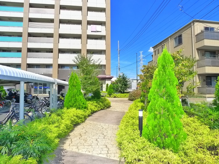 その他 グロ－ブアマランス