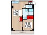 サンライズ市川 1LDKの間取り