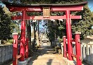 氷川神社(公園)まで270m フジハイツ