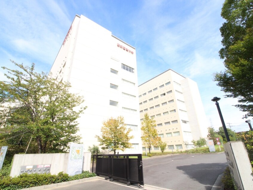 昭和音楽大学(大学/短大/専門学校)まで700m エクシアハイツ