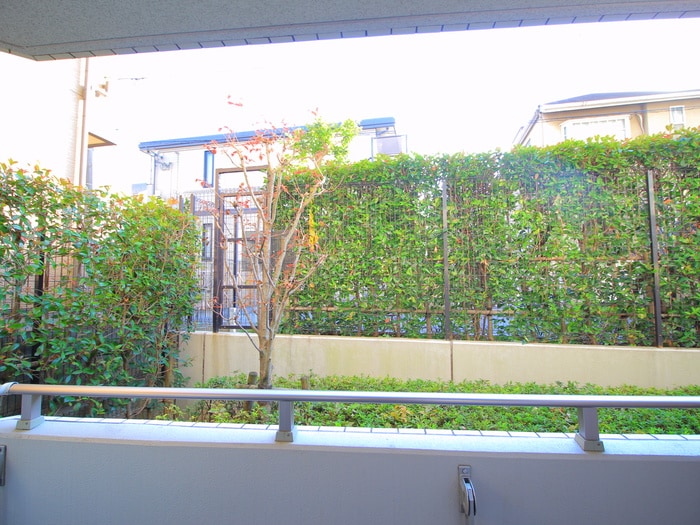 室内からの展望 プライムコ－ト成増