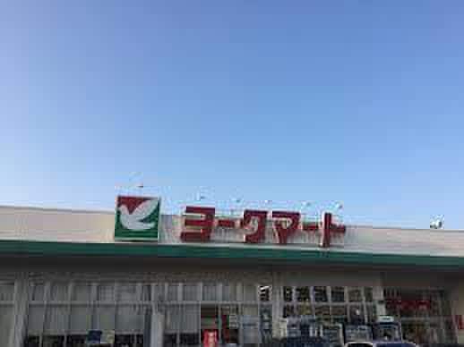 ヨークマート(スーパー)まで45m アンジュール