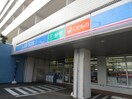 ローソン 聖マリアンナ医大前店(スーパー)まで250m イルパラッツオ