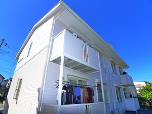 ティープ・マリー