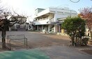 秋津幼稚園(幼稚園/保育園)まで320m 第二サンハイツコイヌマ