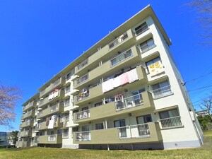 金杉台団地11号棟（202）