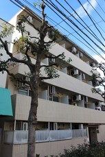 マリオン新小岩（４０５）