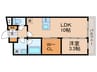ベルシードステアー西早稲田 1LDKの間取り