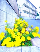 駐車場 西船ビュ－ハイツ