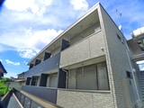 ココ　アムール