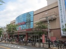 イトーヨーカドー　竹ノ塚店(スーパー)まで647m ヒルズ西竹ノ塚