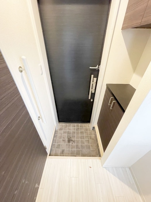 玄関 アレアデマン Ⅱ