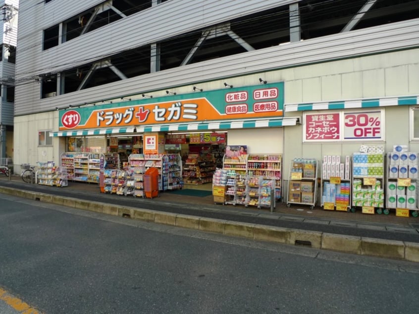 ドラック　セガミ(ドラッグストア)まで250m アレアデマン Ⅱ