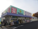 ウェルパーク(ドラッグストア)まで432m ピュアセゾンＡ棟