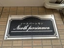 エントランス部分 ﾉｰｽﾊﾟｰｼﾓﾝ