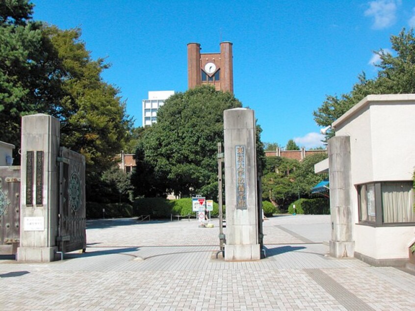 東京大学(大学/短大/専門学校)まで300m プレ－ル代々木公園(308)