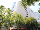 アルカキット錦糸町(ショッピングセンター/アウトレットモール)まで565m ステージグランデ錦糸町Ⅱ