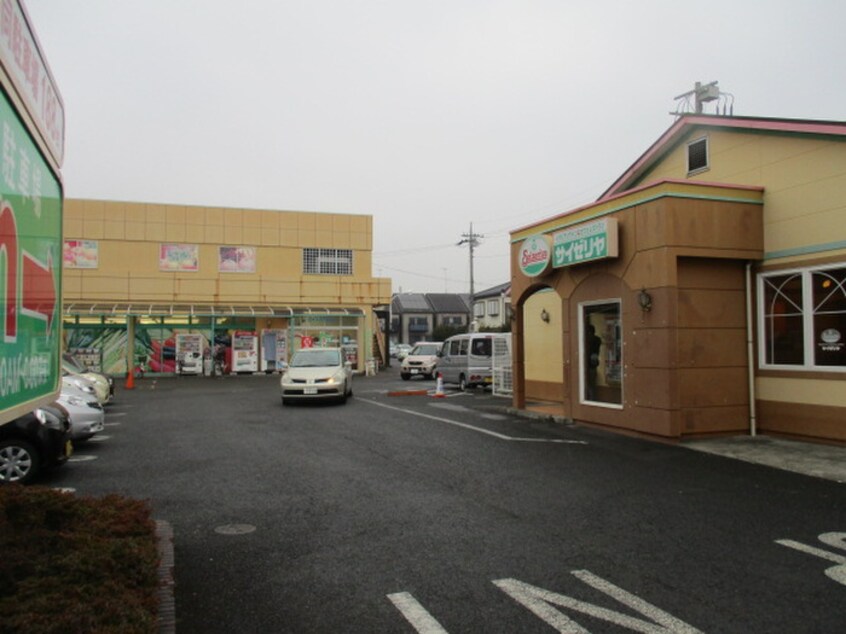 サイゼリ(その他飲食（ファミレスなど）)まで800m サンハイム豊原