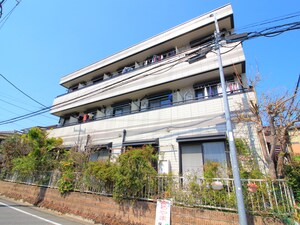 フリーゼ徳丸