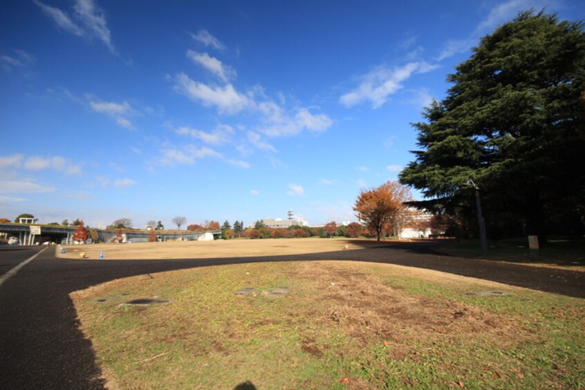 昭和記念公園(公園)まで800m 立川パレス527