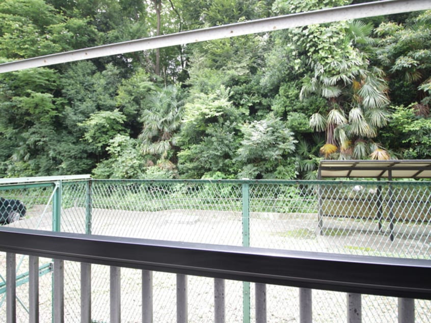 室内からの展望 ドミ－ル飯田