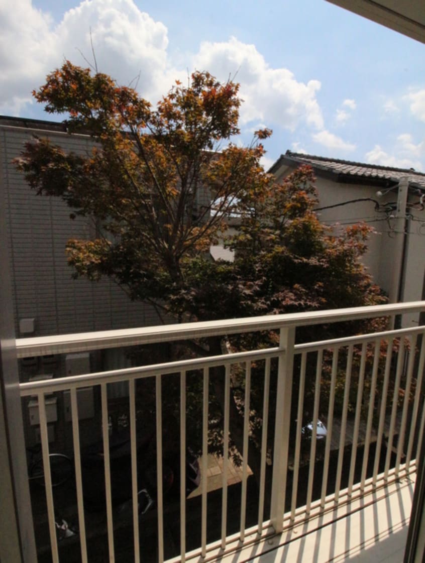室内からの展望 マエパコーポ