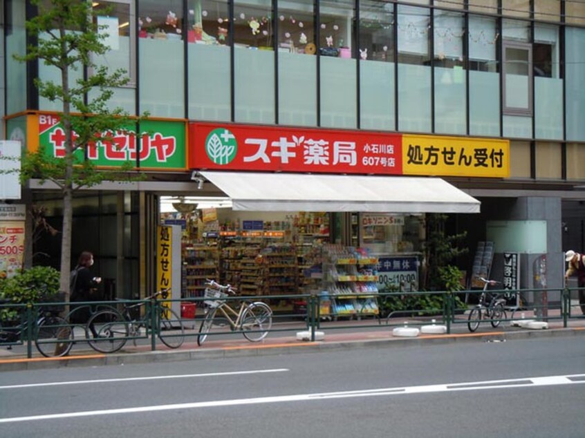 スギ薬局　小石川一丁目店(ドラッグストア)まで700m LEXE文京白山(303)